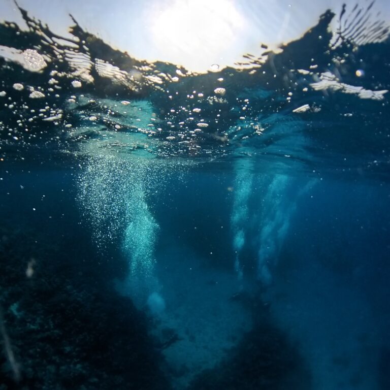 Divers.jpg