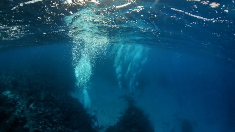 Divers2.jpg