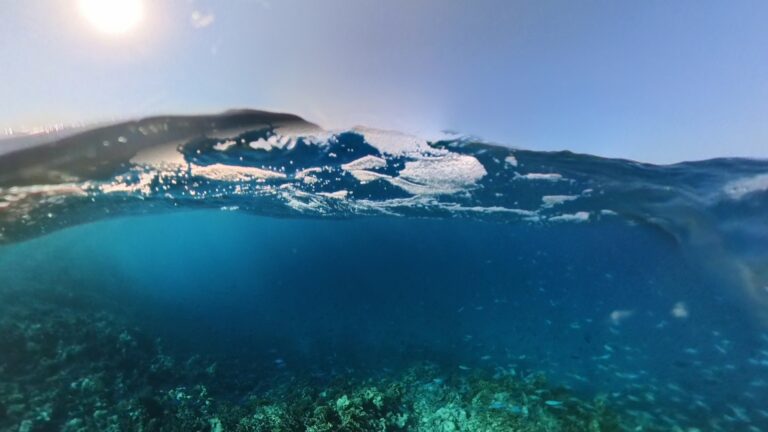 UnderWave.jpg
